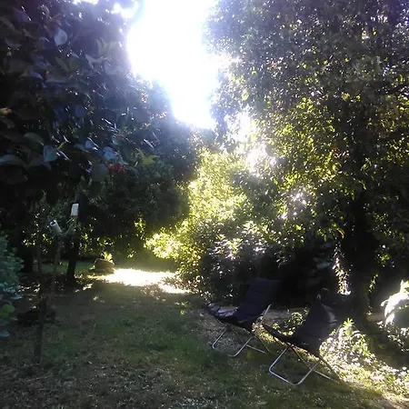 Casinha Da Eira Amarante